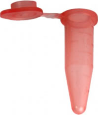 Plasticware-Polypropylene 0.5ml Graduated Flat Top Microcentrifuge Tube, Red