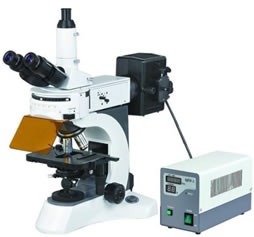 Laboratory Equipment-Upright Fluorescent Biological Microscope