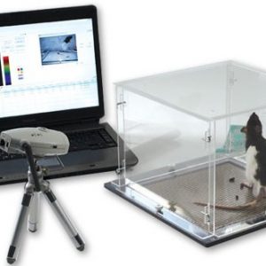 Laboratory Equipment-Dynamic weight bearing test For evaluating spontaneous pain and postural deficits