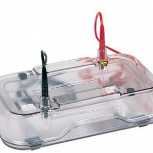 Laboratory Equipment-Mini Horizontal Agarose Electrophoresis Unit