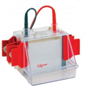 Laboratory Equipment-Mighty Small II Mini Vertical Protein Electrophoresis Unit