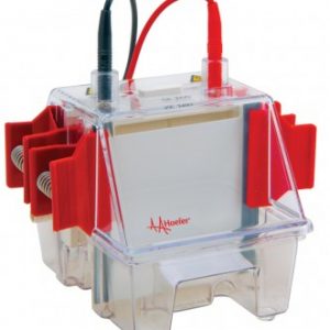 Laboratory Equipment-Mighty Small II Deluxe Mini Vertical Protein Electrophoresis Unit