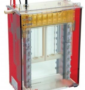 Laboratory Equipment-Standard Dual Cooled Vertical Protein Electrophoresis Unit